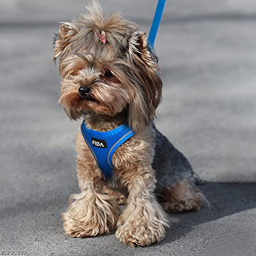 Fida Cat Harness And Leash Set For Walking Kitten And Puppy, Escape Proof Kitten Harness With Breathable Lightweight Soft Mesh, Adjustable Reflective Step-In Design For Kitten And Puppy.(Xxxs, Blue) #TOP6