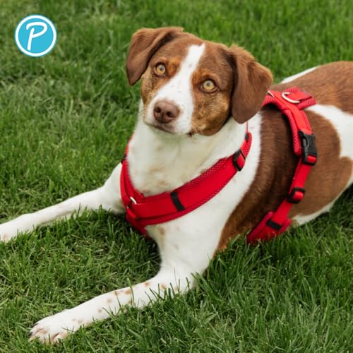 Petlando Hundegeschirr atmungsaktiv, leicht & weich, komfortabler Y-Comfort-Sitz mit Mesh Rot Größe L für mittelgroße bis große Hunde