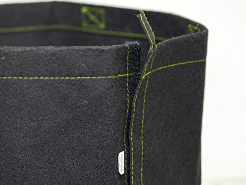 247Garden Transplanter Fabric Pots 10-Packs Planter Aeration Grow Bags for Flowers, Vegetables, Potato, Tomato & Fruit Trees (1/4-Gallon) - Thumbnail 2