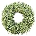 Versatile Year Round Boxwood and Eucalyptus Wreath for Front Door - Artificial Greenery Spring Summer Farmhouse Outdoor Porch Decoration - 20 22 24 Inch Options