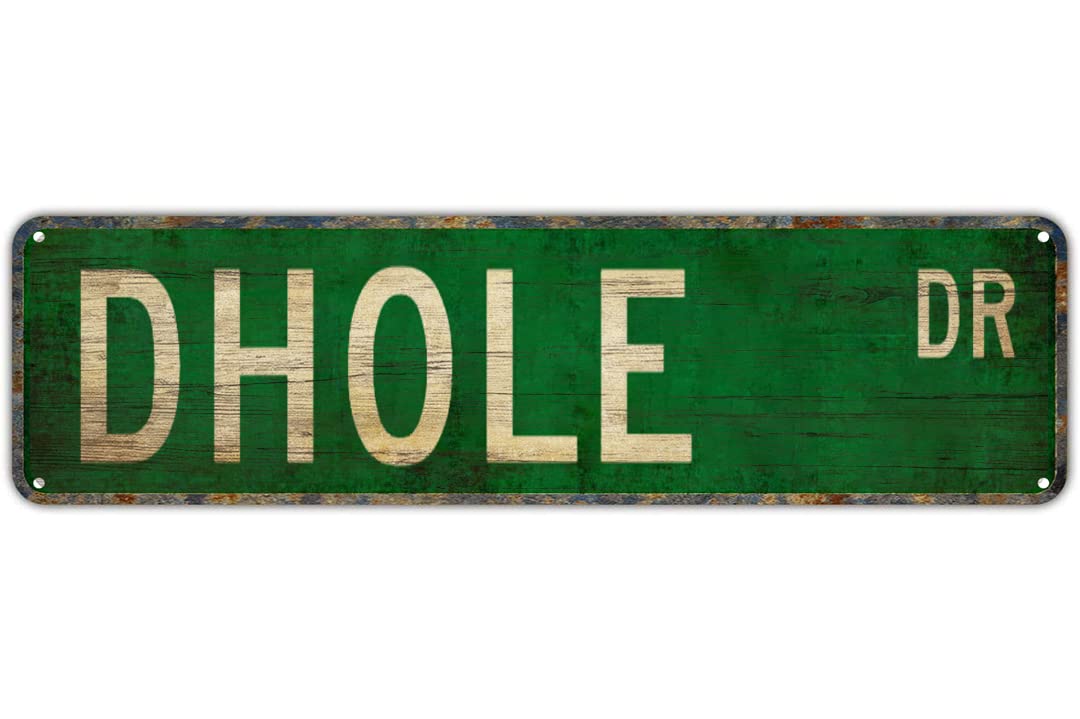 peiyeety Dhole Dr Vintage Street Sign | Rustic Animal Themed Wall Decor Retro Metal Plaque for Home Pet Area Garage Bar Farmhouse Patio Man Cave Waterproof Durable Wall Art 4x16 Inch
