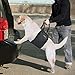 Dog Lift Harness Sling | Acl Brace For Rear Leg Support Of Xl Old Dogs | Help Em Up Carrier Knee Limping Joint Hock Hip Injuries Arthritis Poor Mobility Veterinarian Approved Rehabilitation Recovery