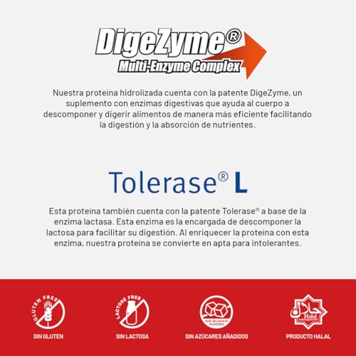 Beverly-WHEY-PRO-CONCENTRATE-Proteina-concentrada-2-Kg-8-Sabores-Lacprodan-Professional-Whey-Mezclador-premium-gratis-2-KG-Fresa