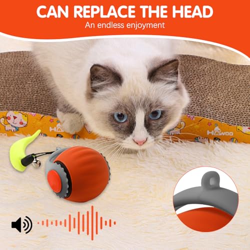 Viuvoiul Speedy 3.0 Tail Upgrade Speedy 3.0 Tail Cat Toy, 2025 Nova bola interativa Turbo Smart para