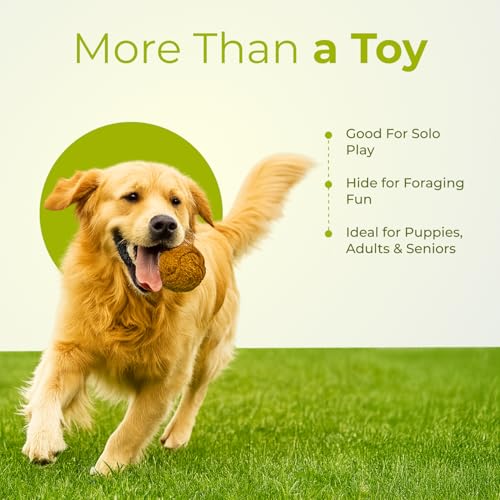 Image of The Orb | Natural Chew Ball Toy for Dogs | Made with Coconut Coir Core | Engaging & Long-Lasting Play | 100% Plastic-Free & Biodegradable | Non-Toxic | Pack of 3