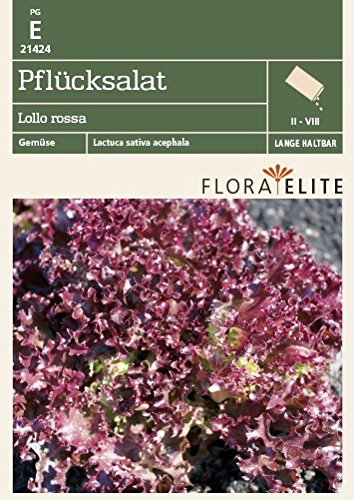 Preisvergleich Produktbild Flora Elite 21424 Pflücksalat Lollo rossa (Salatsamen)