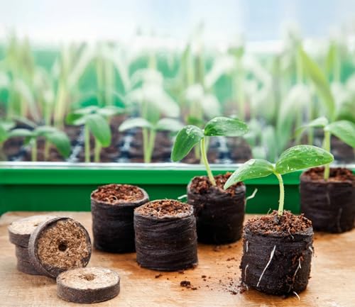 Kokos-Quelltabletten Ø70 mm (6 Stk)