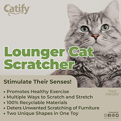 Image of Best Pet Supplies Catify Cat Scratcher, Fun Interactive Scratchers, Posts, Poles, Claw Safe, Furniture Saver Indoor Play Support Natural Cat Behaviors Heavy Duty - Lounger I