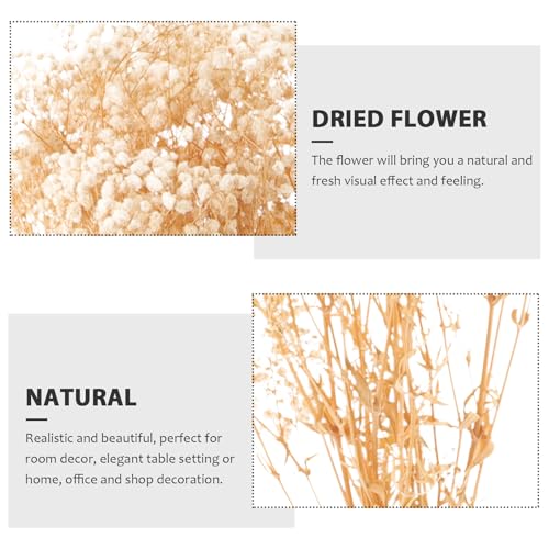 Ramo de Flores Secas Beige 120g para Decoración miniatura 3