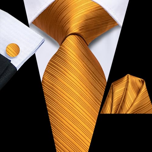 Image of Hi-Tie Mens Paisley Floral Striped Ties Set Silk Necktie and Lapel Pin for Men Pocket Square Cufflinks Set Business Wedding