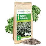 Purgrün