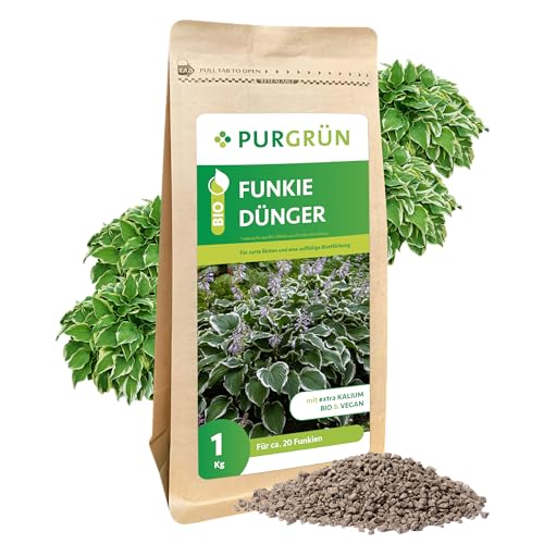 Purgrün® Funkie-Dünger 1 kg – Organische Rezeptur –...