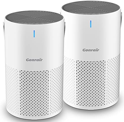 2 Pack Air Purifiers for Bedroom,5 Layers H13 HEPA Air Filter, 22db Quiet Air Purifiers for Home Pets,Desktop,Kitchen,Filter 99.99% Smoke,Pollen, Pet Dander,Dust, Ozone Free, Available for California