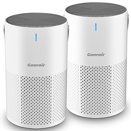 Find The Best Quiet Air Purifier Reviews & Comparison Glory Cycles