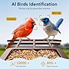 PeckCam® Bird Feeder with Camera Solar Powered, AI Identify & Auto Capture, 2K HD Live Video Smart Bird Feeder Camera Instant Notifications in Backyard, Gift for Bird Lovers #3