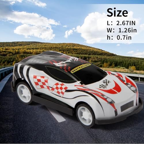 Image of SHOPOGENIX Toy Cars for Kids, 12 PCS Pull Back Race Cars Toys, Container Storage Box, Die Cast Metal Tay Set, Racing Pattern, Race Party, Small for Boys & Girls (Without Box-Multicolour-FBA)