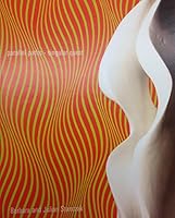 Parallel Paths, Singular Quest: Barbara and Julian Stanczak 0979973929 Book Cover