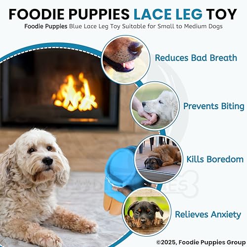 Image of Foodie Puppies Dog Squeaky Chew Latex Rubber Toy - (Blue Lace Leg) for Small to Medium Dogs & Puppies | Durable, Soft, Lace Design, Fetch & Chew Safe Play Toy | Reduce Separation Anxiety