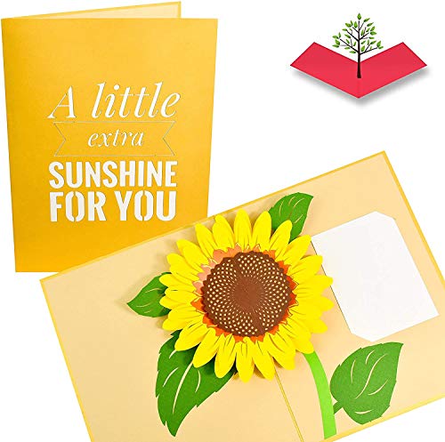 PopLife Cards Girasol día de madres del jardín tarjeta pop-up - todas las ocasiones