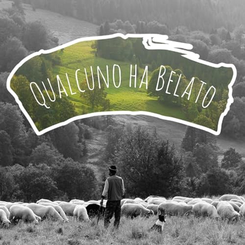 Qualcuno Ha Be(eeeee)lato cover art