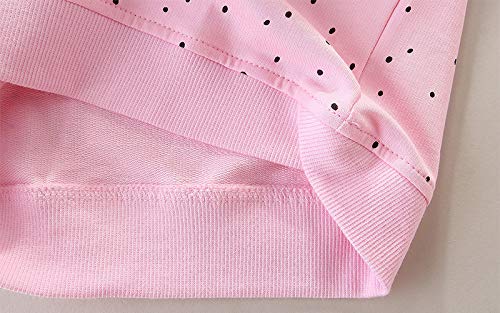 Image of Bumeex Girls Cotton Crewneck Cute Sweatshirts The Hedgehog and The Fox Pink 2-7T