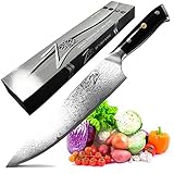 Zelite Infinity Chef Knife 10 Inch - Alpha-Royal Series - Japanese AUS-10 Super Steel 67-Layer Damascus - Razor Sharp, Superb Edge Retention
