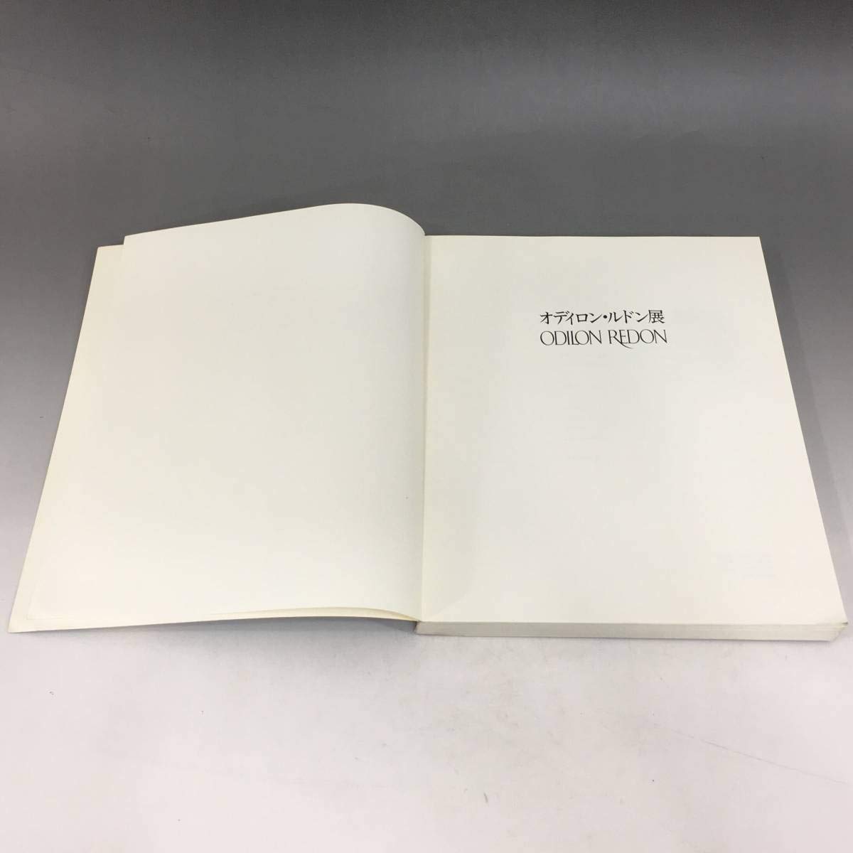 Amazon.co.jp: BT2/63 オディロン・ルドン展 図録 1989年 東京国立近代