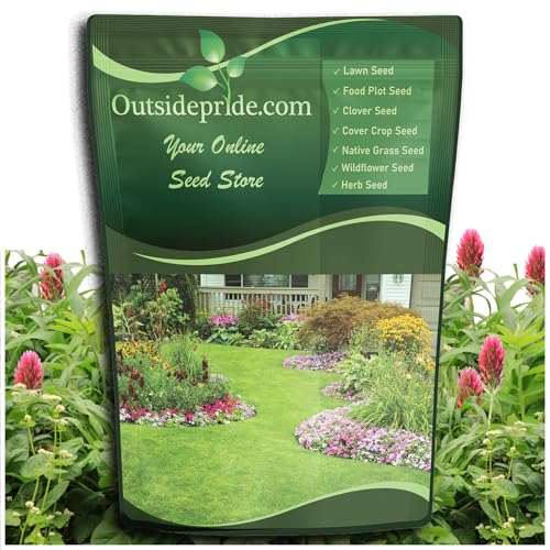 Outsidepride Gardenway Cover Crop Seeds - 10 lbs Nutrient-Rich Seed Mix for Soil Health Improvement...