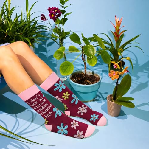 Image of Funny Socks for Women and Teenage Girls, Cute Crazy Unique Novelty Gifts