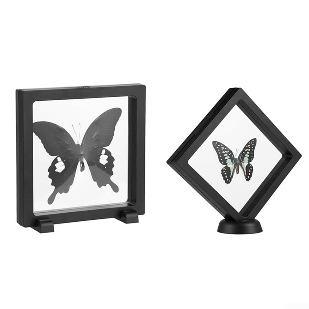 Insekten Präparier Set 6-teilig mit EVA Nadelbrett, Koordinatenpapier & Glasine – Edelstahl Nadeln für Schmetterlinge & Käfer – Komplettkit für Anfänger