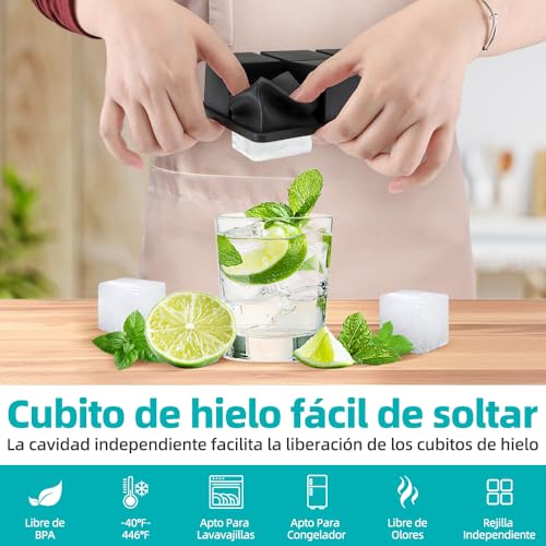 Consejos para Comprar L molde los mejores 5. 9 Imagen adicional