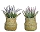 Decoris Everlands Polyethylen-Lavendel, 16 cm Durchmesser, 27 cm Höhe, Einheitsgröße