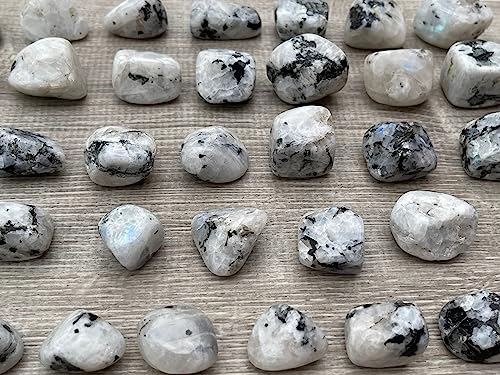 Image of GAF TREASURES 1 /2 LB Rainbow Moonstone Tumbled Stones, Polished Rainbow Moonstone Gemstone, Rainbow Moonstone Healing Crystals (Rainbow Moonstone)