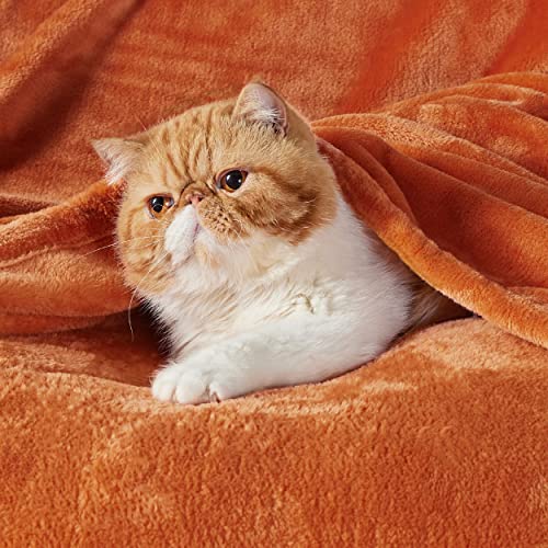 Bedsure Fleece Blanket Queen Blanket Orange - Bed Blanket Soft Lightweight Plush Fuzzy Cozy Luxury Microfiber, 90X90 Inches #TOP1