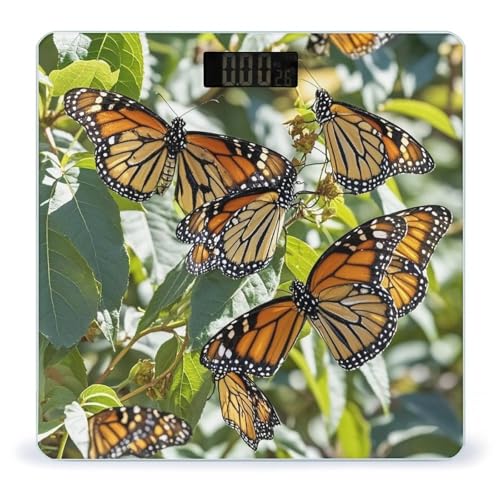 Báscula Digital Monarch Butterflies de Vidrio Templado miniatura 1