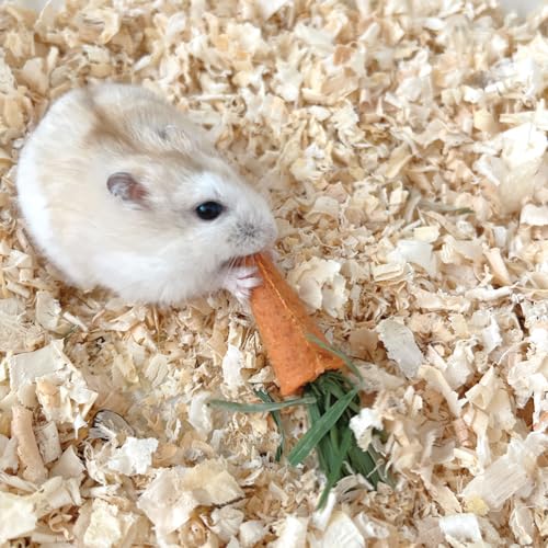 Aisamco Rabbit Chew Toys 19 Pcs Guinea Pig, Hamster - Image 4