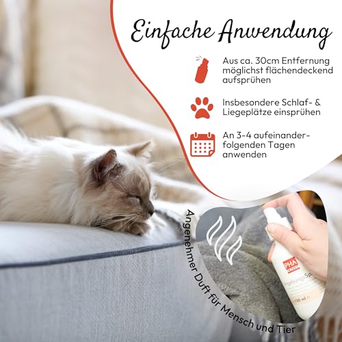 PHA UmgebungsSpray – Pflanzliches Ungeziefer Spray gegen Flöhe, Milben, Läuse & Zecken, Flohmittel für Wohnung, Anti Floh Spray, Alternative zu Fogger gegen Flöhe, 150 ml