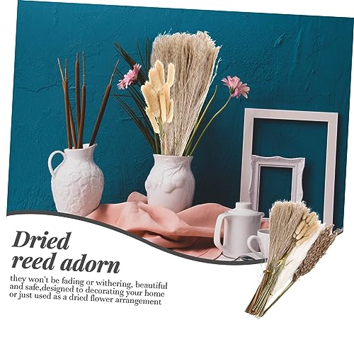 Ramo de flores secas para decoración de hogar y bodas miniatura 6