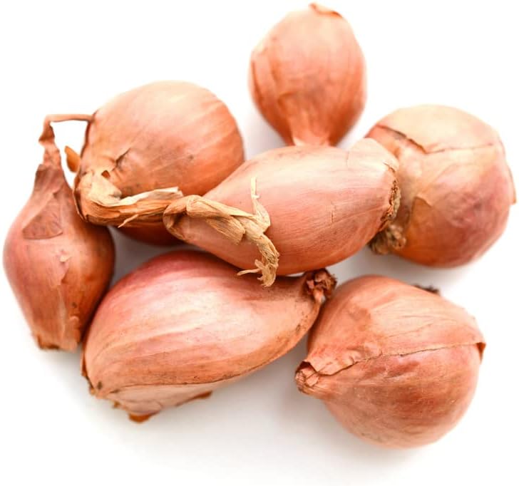 Miniatura 4 de Lorient - Juego de bombillas de chalota, bombillas de 6 onzas para chalotas de semillas de jardín