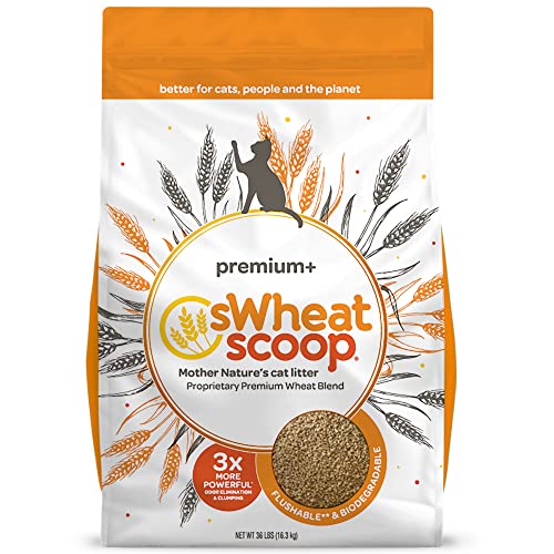 Premium Natural Wheat Cat Litter for Odor Control, 36lb Bag