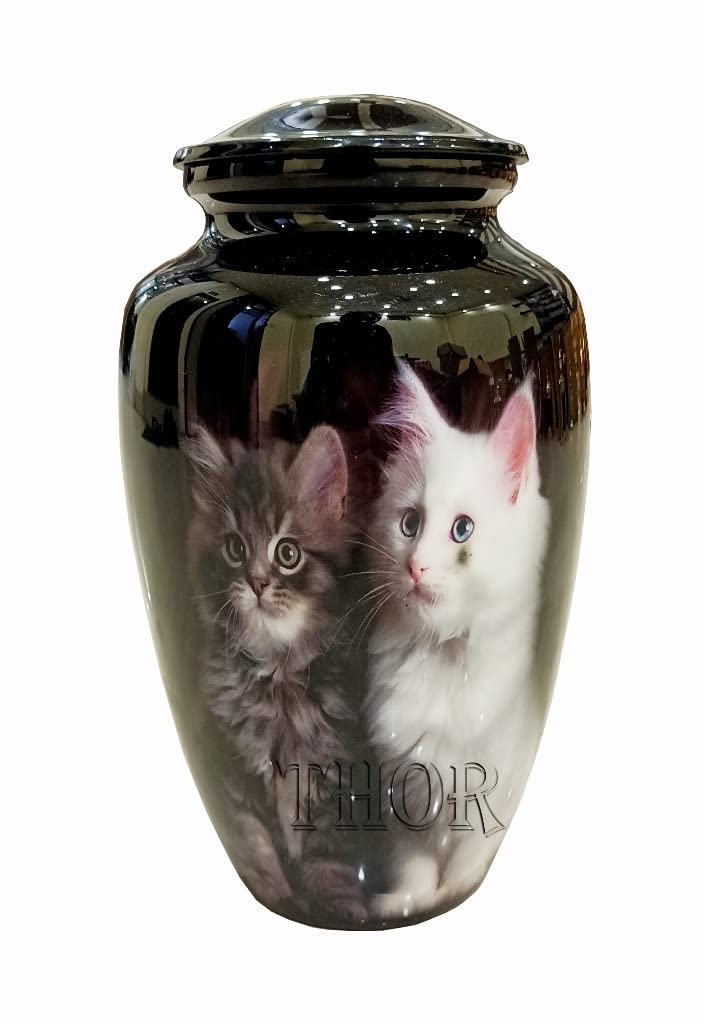 Urns for Human Adults Cremation Ashes Urn/with Beautiful Urn for Cat Ashes Funeral Burial Memorial Carefully Completely Handcrafted with Black Finish Rustic Vintage Home Decor Gifts