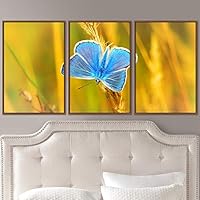 3 Piece Framed Canvas Wall Art Colorful Butterfly Insects Canvas Prints Home Artwork Decoration for Living Room,Bedroom - 16