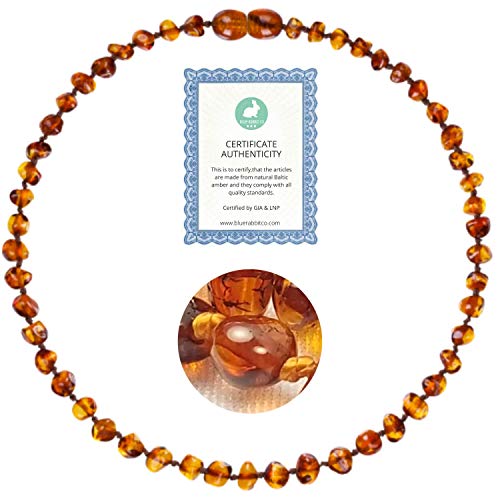 Amber Necklace (13 inches) | GIA Certified 100% Pure Baltic Amber - Unisex (Baroque Cognac Amber Jewelry Necklace)