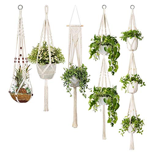 home best stylish shelf planters that look great in any home