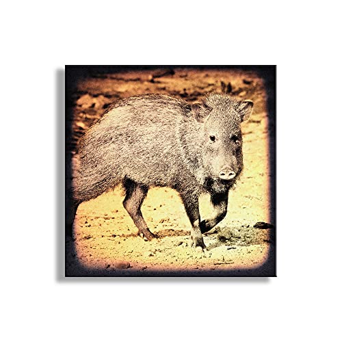 Javelina Art Print in Vintage Style as Arizona Desert Wildlife