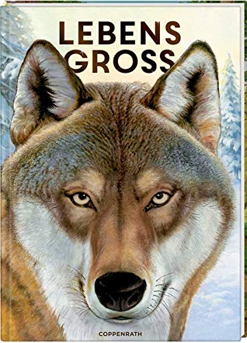 Lebensgroß: Tiere des Waldes (Nature Zoom) Lebensgroß: Tiere des Waldes (Nature Zoom)