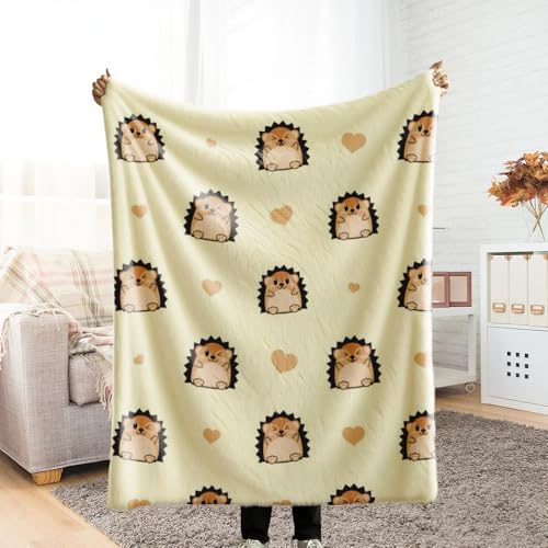 ѕz VO ӂӂ uPbg blanket for winter G| ͂˂ݕ ~ Ƃӂ blanket for all season Ђ| ~p  Ódh~ y ΍ Ȃ߂炩 lGKp