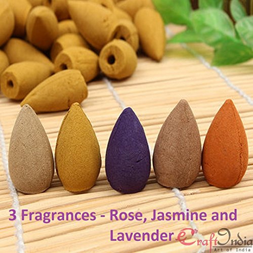 Image of eCraftIndia Backflow Plant Essential Oil and Fragrant Matrix Incense Cone Set (1 cm x 1 cm x 3 cm, IBFCSO30)