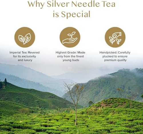 Image of VAHDAM, Silver Pine Needle White Tea Loose Leaf 50g | Caffeine Free, Gluten Free | Pure Unblended Loose Leaf Tea | Vacuum Sealed | Brew As Hot, Iced Or Kombucha Tea