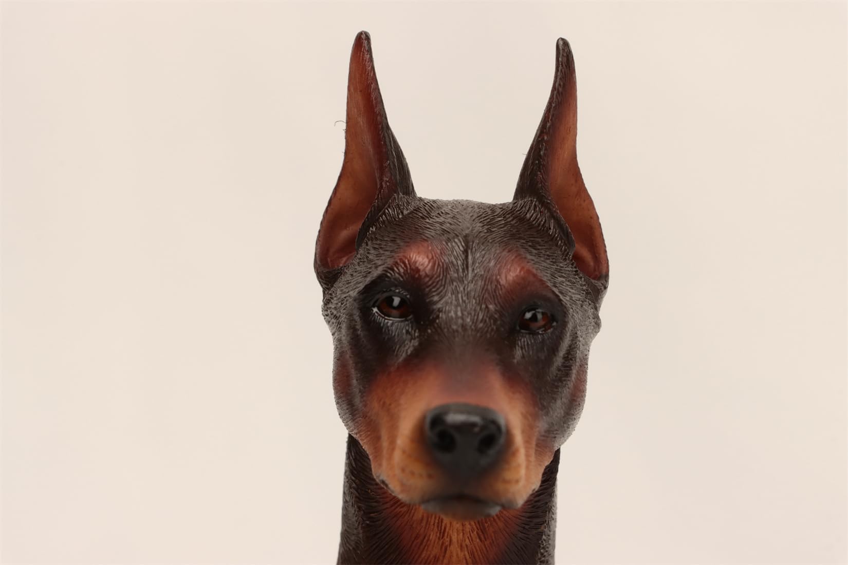 Amazon.com: WLNTDOLA Mr.Z Studio 1:6 Scale Dobermann Figure